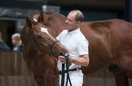 Tristan Tucker is an in-demand educator and Grand Prix dressage rider. © TRT Method
