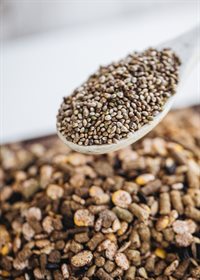 Several noteworthy academic studies on hemp seeds’ potential as livestock feed have shown that hemp is the ideal, complete protein alternative.