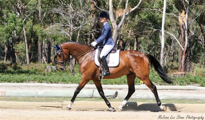 2018 Tasmanian Dressage Championships - © Melissa Lee Stone Photography