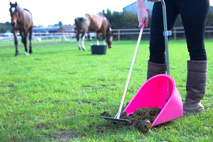 A Red Gorilla Tidee with Rake is a quick and easy way to remove manure. © Red Gorilla