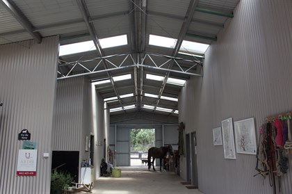 ABC Sheds - Eureka Horse Wisdom