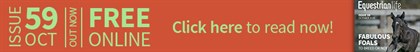 Ad_banner_out_now_59