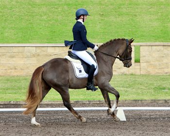 Alison Gill and Glenhill Divine Classic. Image: Roger Fitzhardinge