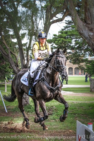 Amanda Ross on Koko Popping Candy gallop through the woods with the mansion in the background in the CCI2*, MI3DE 2017 © Michelle Terlato