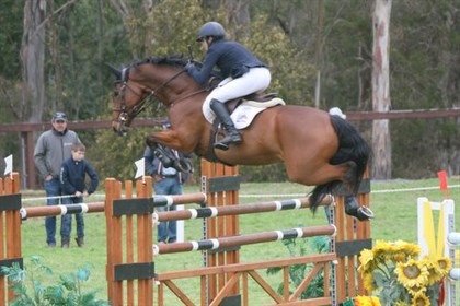 Amber Fuller and CP Aratino, owned by Mary Lou Potts. © Roger Fitzhardinge