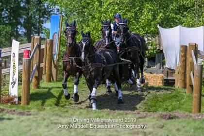Tor Van Den Berge and his team - © Driving Valkenswaard 2019/Amy Mundell Equestrian Photography