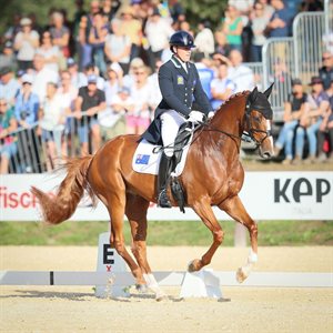 Andrew Hoy Vassily de Lassos dressage Pratoni © Michelle Terlato Photography