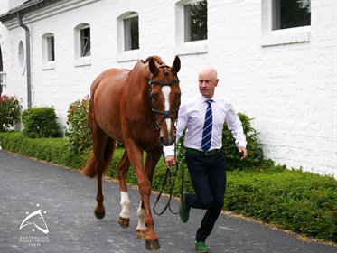 Andrew Hoy and Vassily de Lassos - © Kirsty Pasto