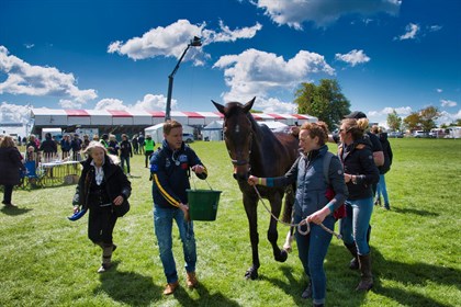 At the XC cool down - Badminton 2019 © Equestrian Australia