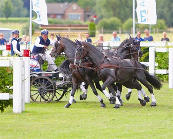 Australian driver Boyd Exell on the marathon course at CHIO Aachen 2019 © Roger Fitzhardinge