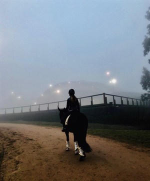 Ava Braniff and Allengreen Medallist heading through the fog. © Dana Krause