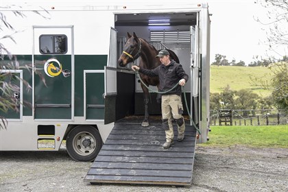 Chatsfield arriving at Garfield North (Amanda s property).