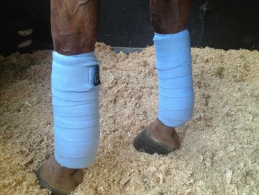 Bandaging1