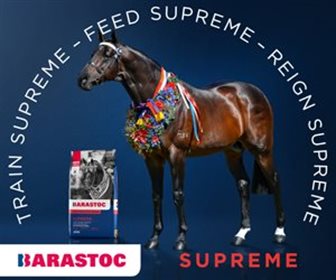 Barastoc December medium advert