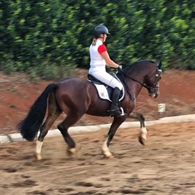 Belinda Van Berkel - Boutique Equines competition