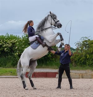 Ben and Georgie are talented trainers. © EJ Lazenby