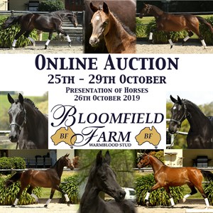 Bloomfields 2019 Spring online auction commences at 9am Friday 25th October - don't miss out on your next superstar!
