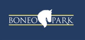 Boneo logo