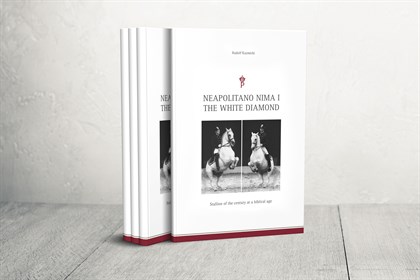 Book The White Diamond (c) SRS _Stefan Seelig