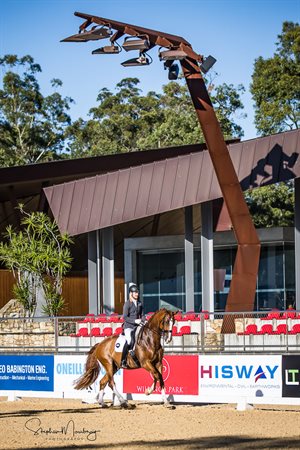Brett Parbery and Willinga Park Spot On were a close second in both Open Medium classes © Stephen Mowbray