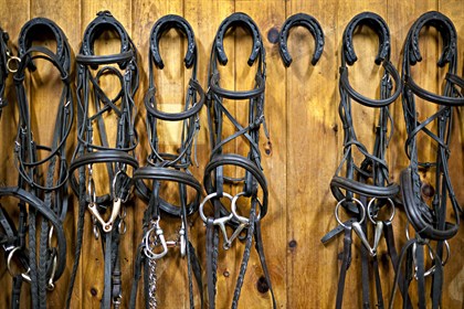 Bridles ©Shutterstock