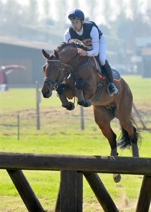 Caliber Royale is a truly impressive Holstein stallion who is available in Australia this season