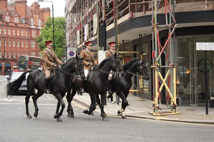 Calvary from the British Army © Reuse