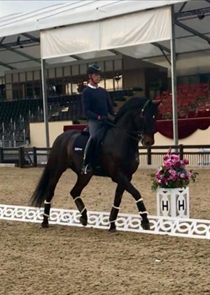 Carl Hester and Hawtins Delicato at CHI Royal Windsor Horse Show - Photo: Charlotte Dujardin CBE Facebook page