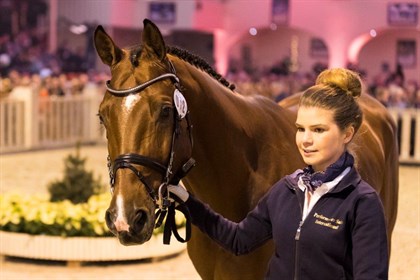 Chacco's Lando was sold for 1.25 million Euro at the 40th annual PSI auction © thomas Hellmann