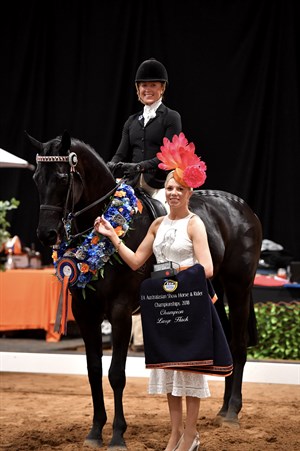Champion Large Hack Taittinger ridden by Jess Stones representing (NSW) © Derek O’Leary
