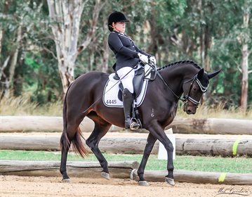 Champion Para Rider Felicity Weal riding Barnetts Fascinator in the Preparatory Championship © Snapshotaustralia