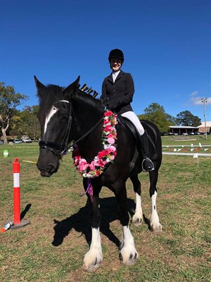 Champion Ridden Heavy Horse, Cedars Amazing Grace, and Phoebe Jenkins.