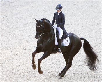 Charlotte Fry and Glamourdale.