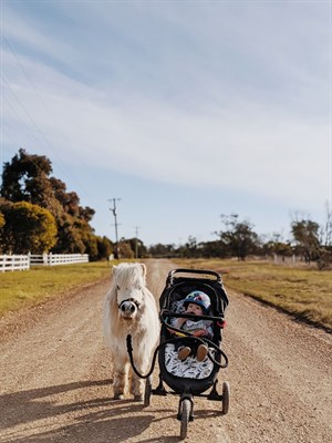 Chickaboo and River. © Anne Scott-Virtue