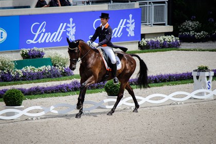 Chris Burton and Quality Purdey, uphill in the canter.