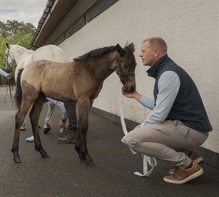 Conor Coyne says goodbye to Peaceful Promise.