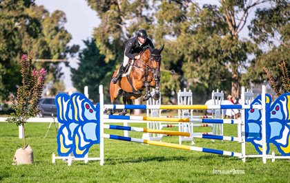 DJWTS Current Stars Round 1 winnner, Tom McDermott and Alpha Activity. © Jo Jennings/Australian Jumping