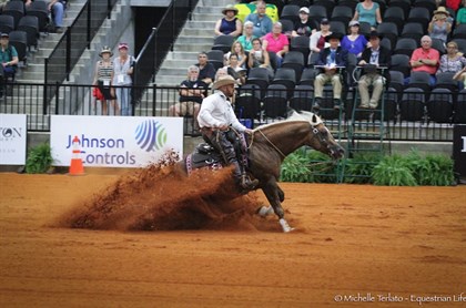 Dan James on Dom Magnum in the reining - © Michelle Terlato