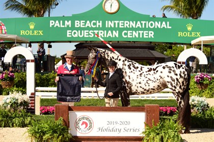 Dani has had success in the competition arena. © Anne Gittins Photography