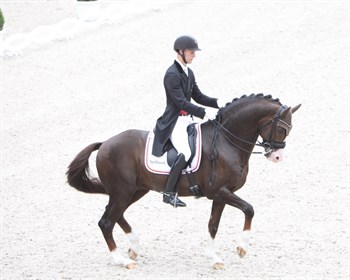 Daniel Bachmann Andersen and Blue Hors Don Olymbrio