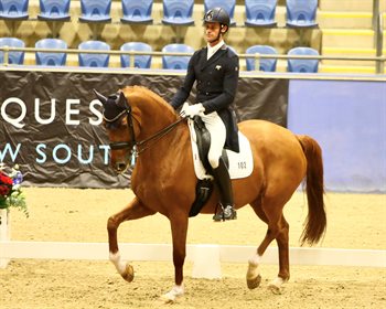 David McKinnon riding Carol Oatley’s Forlan, second in the CDI Grand Prix. Image Roger Fitzhardinge 2