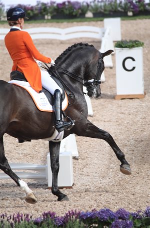 Dinja van Liere and Hermes took the bronze medal. © Roger Fitzhardinge