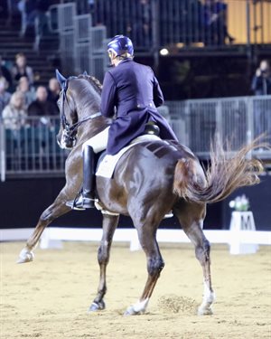 Dirk Dijkstra and Royalito in the Grand Prix CDI-W Freestyle. © Roger Fitzhardinge