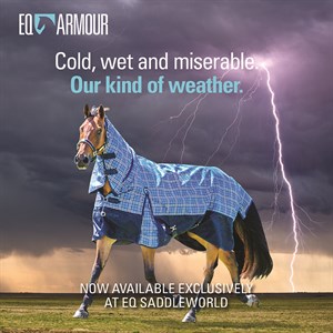 EQ Armour [FB Launch] 1000x1000px