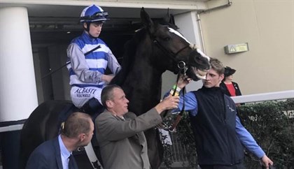 Eminent before the 2018 Prince of Wales's Stakes © Carl Di Iorio