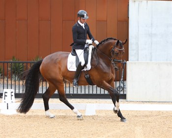 Emotion for Jayden Brown and Willinga Park, second in the 6 year old - © Roger Fitzhardinge