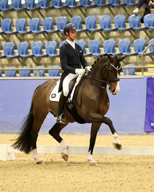 David McKinnon and Estupendo were third in the Grand Prix. Image: Roger Fitzhardinge.