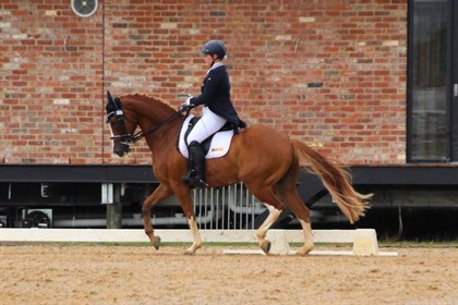 Fern Wright riding Ferrero Red Onyx in the Advanced, where she finished 6th in the 5.3 and 2nd in the Freestyle. © Dana Krause