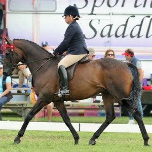 Fiona McIntyre and Caravan Rolls On. Image: Virtual Windsor Horse Show entry