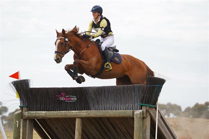 Fleur Barling Wake me up raced as ‘wake me up’ which suited his short race career